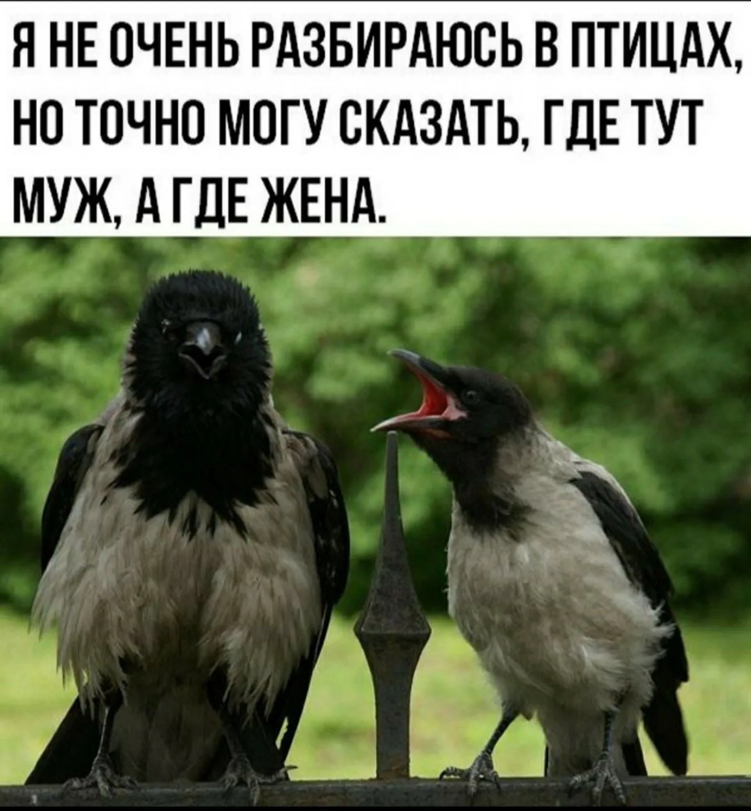 IMG-7cdc00da926dfb3f2038a388206b527a-V.webp