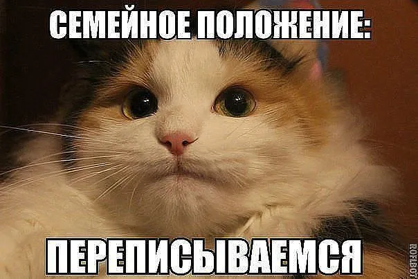IMG-7d34ff282906f476d6c07dfbe38a73bf-V.webp