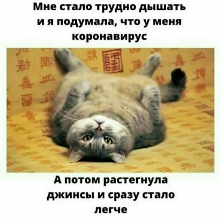 IMG-7db4c16616a272f45c15cc85711168cf-V.webp
