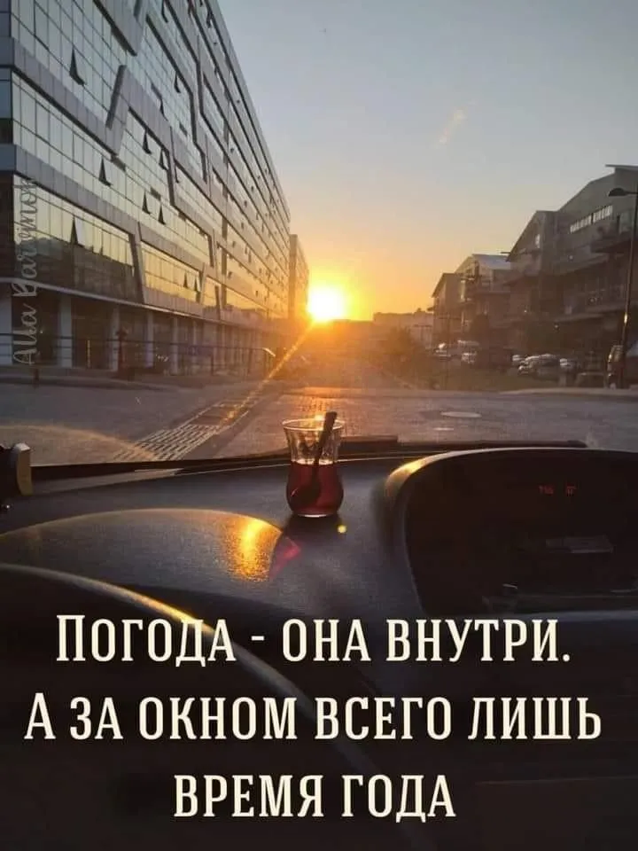 IMG-7e8f63118512f554202b1733d6fa9e14-V.webp