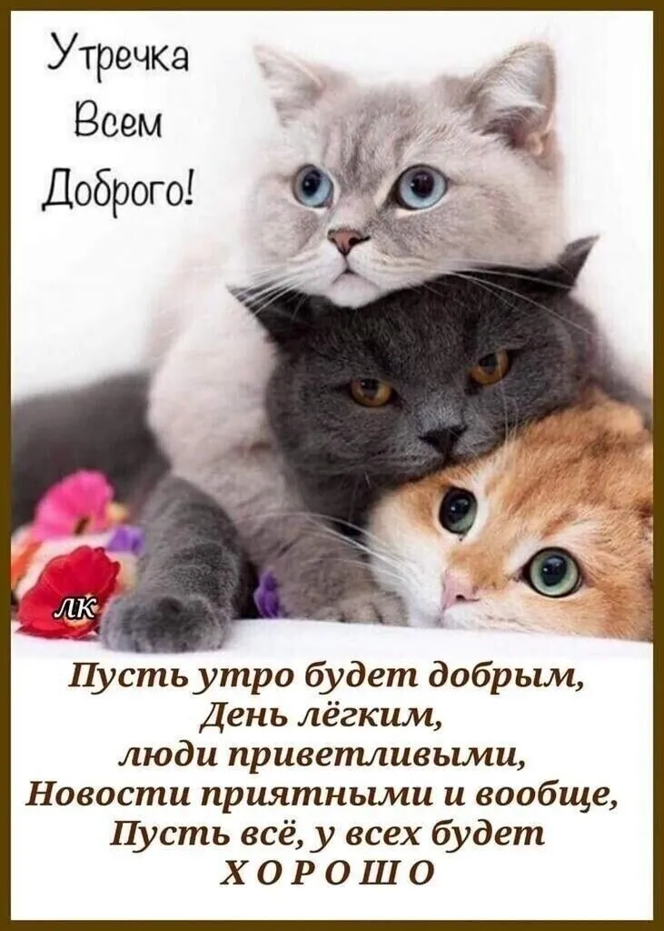 IMG-7e932443b9f2ea39ab5708b8e4ff789b-V.webp