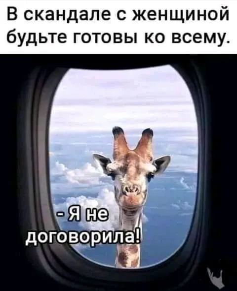 IMG-7ec8c2269c58c9a0f05cc6bbb33d0012-V.webp