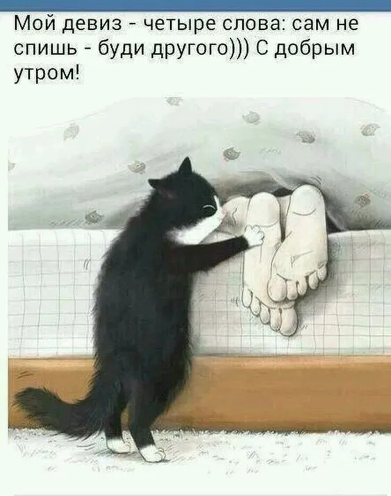 IMG-7f1f0e692afbdd540b7730565e9fe7f0-V.webp