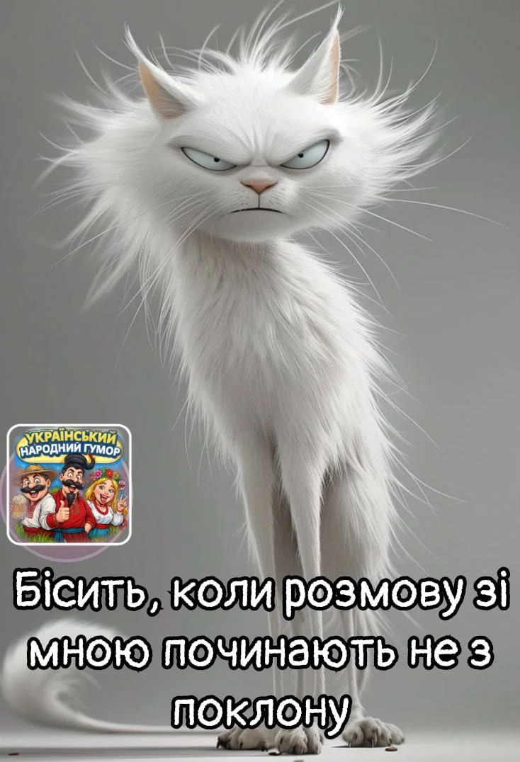 IMG-7f2e501d1ae365a27662da4e318489ba-V.webp
