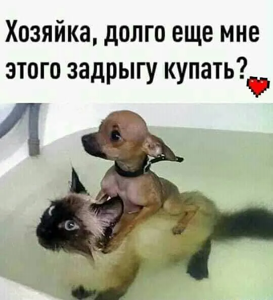 IMG-7f4084ea885af3af129fb763f9ce47b9-V.webp