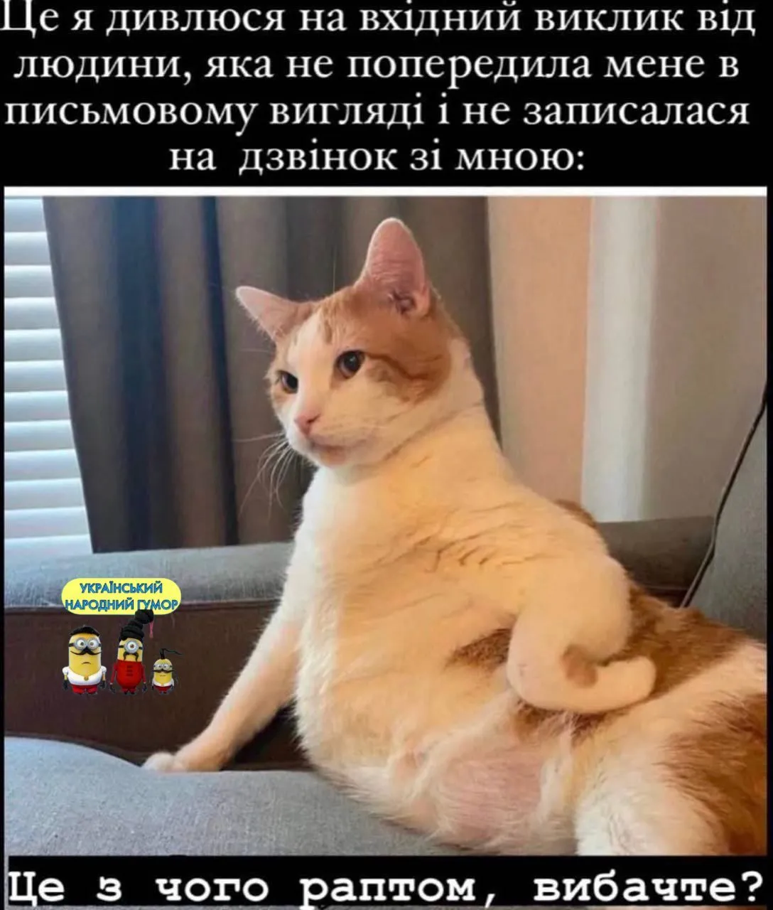 IMG-7fa0d138f249209e0dee1d7a140ceedf-V.webp