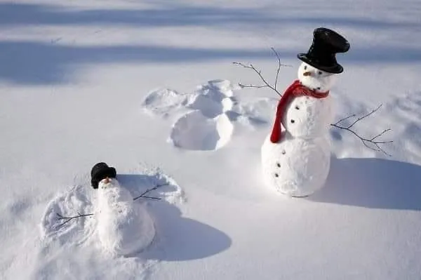 IMG-8077c48a38bb5bd866a6267d1b992300-V.webp