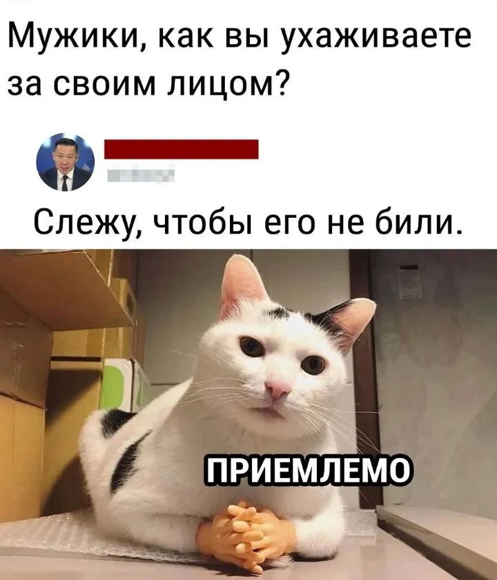 IMG-81e6a0ff2cb97ea1e9fa2f512a2fc20b-V.webp