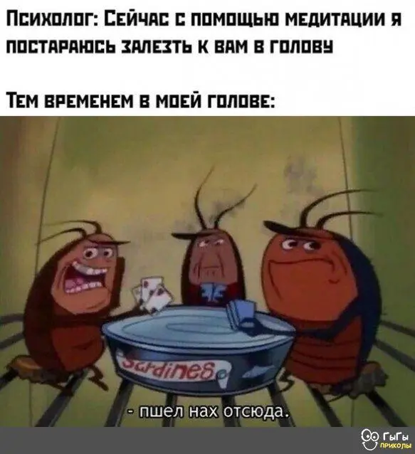 IMG-82d42cb97a05706d5a5c1d9e76d3f812-V.webp
