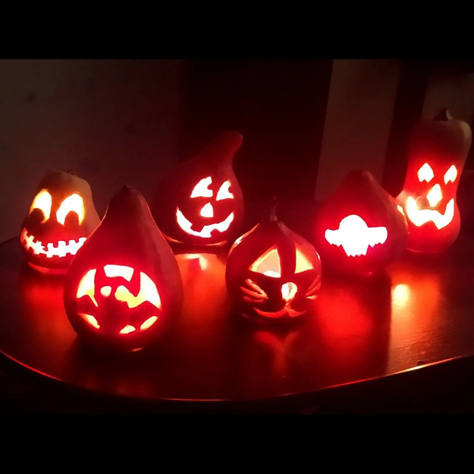 IMG-833974ab85806cbf6f064e839ef36a5a-V.webp