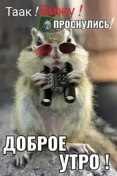 IMG-837ee303d0d0b981b06278c4d4a4e7a9-V.webp