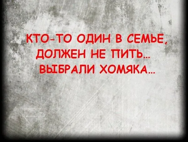 IMG-8388fe2a1f9e327a8cf13da9024b8a87-V.webp
