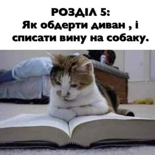 IMG-840472b0fd67e88e2426bb5d3fce7c22-V.webp
