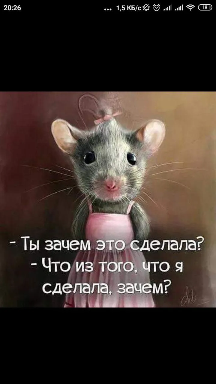 IMG-84822acf605f6d7d55c1aaba151214d3-V.webp