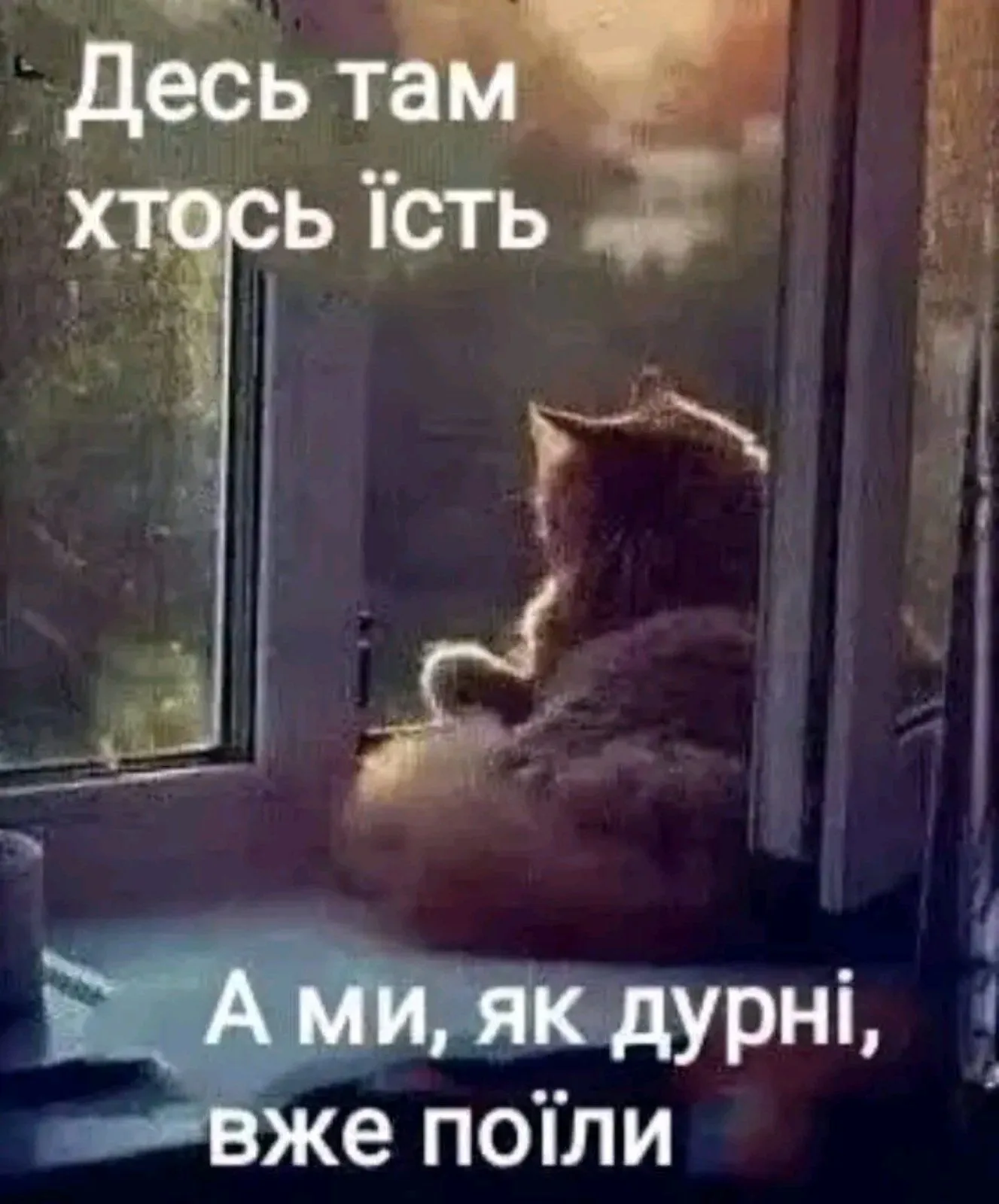 IMG-8533ff82146e09f082b4a0b01f687895-V.webp
