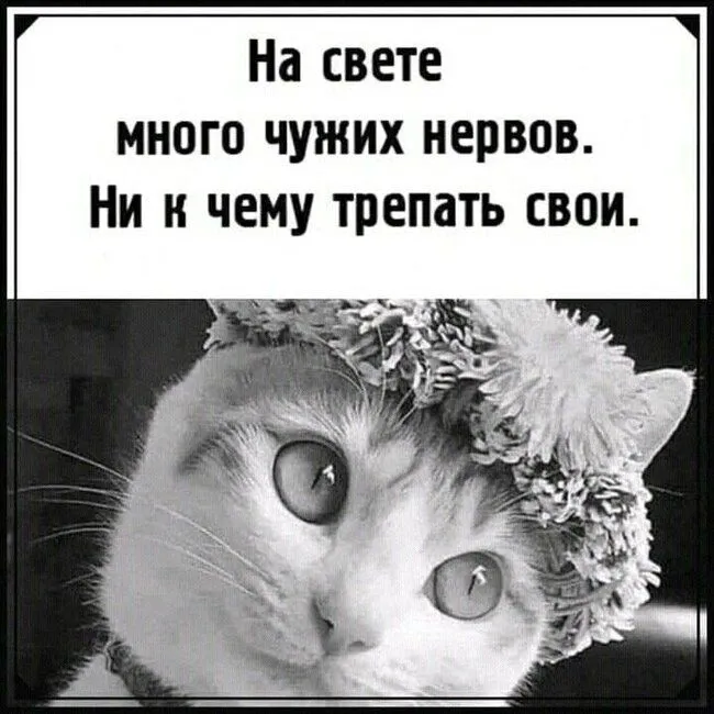 IMG-85443258f389f099f635211c3c5084fb-V.jpg