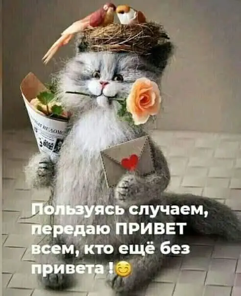 IMG-8550e78853a155dafda065e944d5b2c5-V.webp