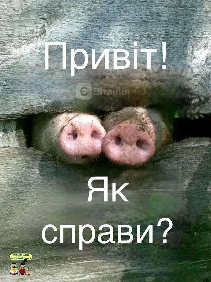 IMG-85abc470695e9262149b0a7cfbbd8a60-V.webp