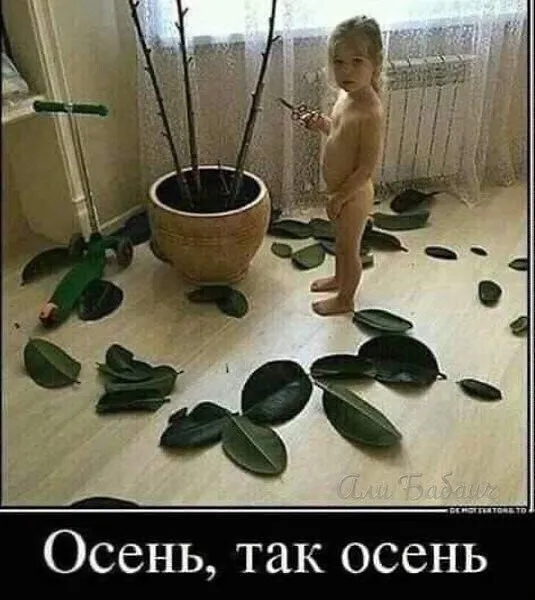 IMG-85b2193e8e05e1d8288e18d9eee6c7d4-V.webp