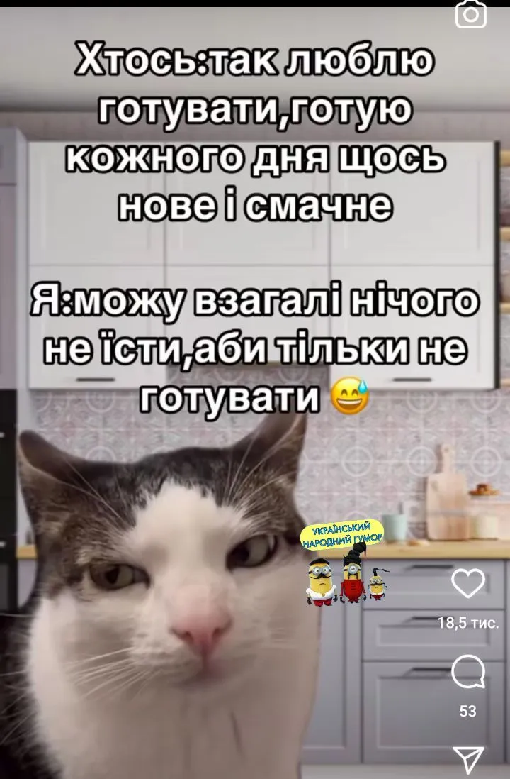 IMG-85b3c927d10ab3c988a61a2f49b29677-V.webp