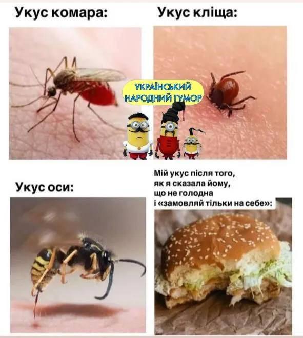 IMG-85d4c6aa7b7b649f5ee5d88b9a8c9735-V.webp