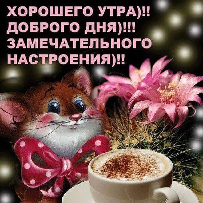 IMG-867bf6228e36e835a61492339fe80461-V.webp