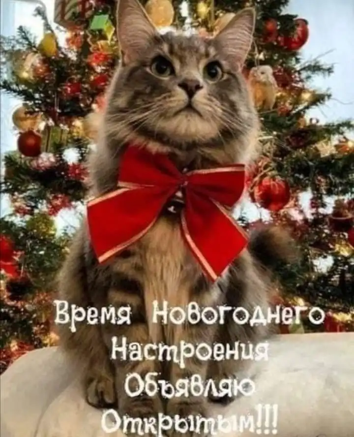 IMG-86ca0d865b7f94fde66e798e321ac965-V.webp