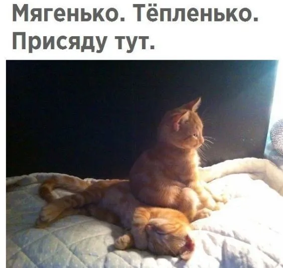 IMG-87a6baae618e44cc810e22ec20cb06e0-V.webp