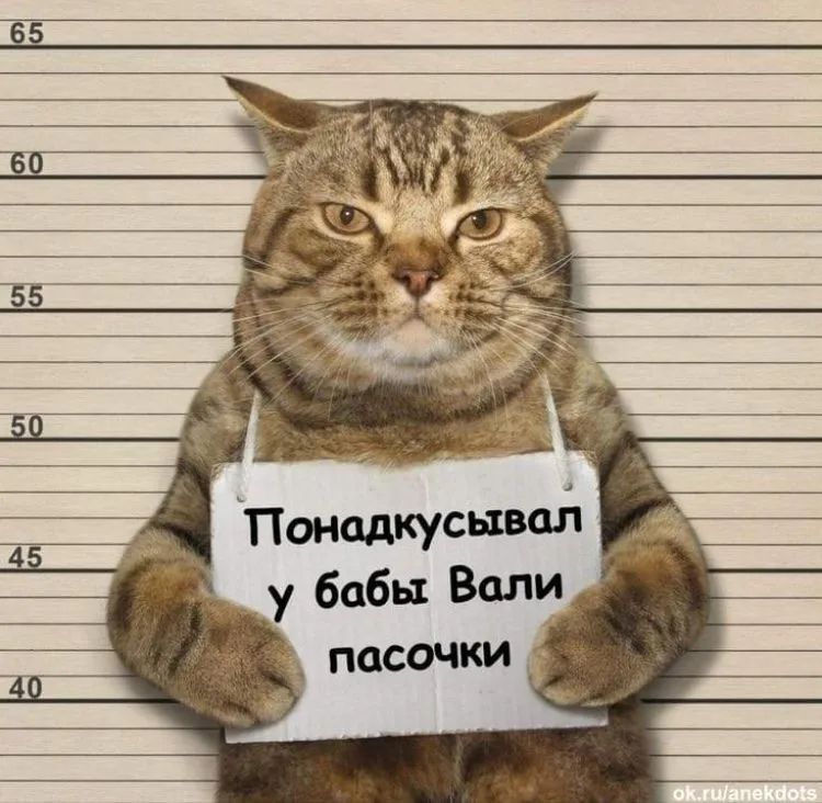 IMG-87cf785bbfe1a16c78440ad8c42eda44-V.webp