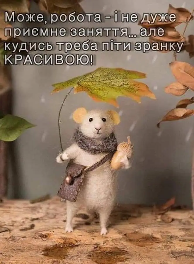 IMG-87d483d4f1e29e7fbbfcae4ee21b9789-V.webp