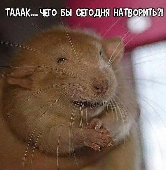 IMG-88e32d68895f5755c1142f2ee422165e-V.webp