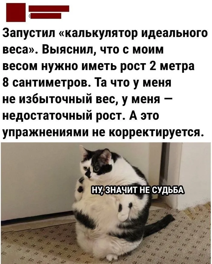 IMG-890254fa655cede3f77ab8c8cdd0cf2c-V.webp