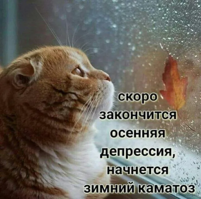 IMG-897f705a96333aff937b5d2f456314fb-V.webp