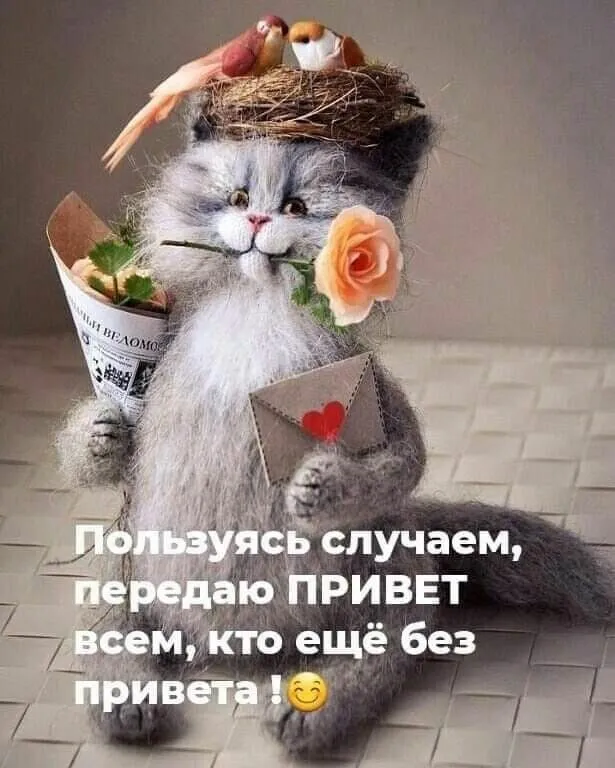 IMG-89f555640ebe1a1e7c85e5c5cf0f36b0-V.webp