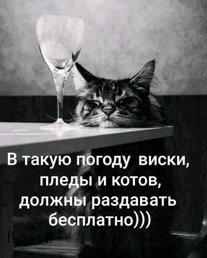 IMG-8a0ba8fc46219bcee9e247765349051f-V.webp