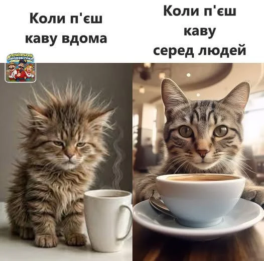 IMG-8a34b6957ee9b2998094543447b2b63b-V.webp