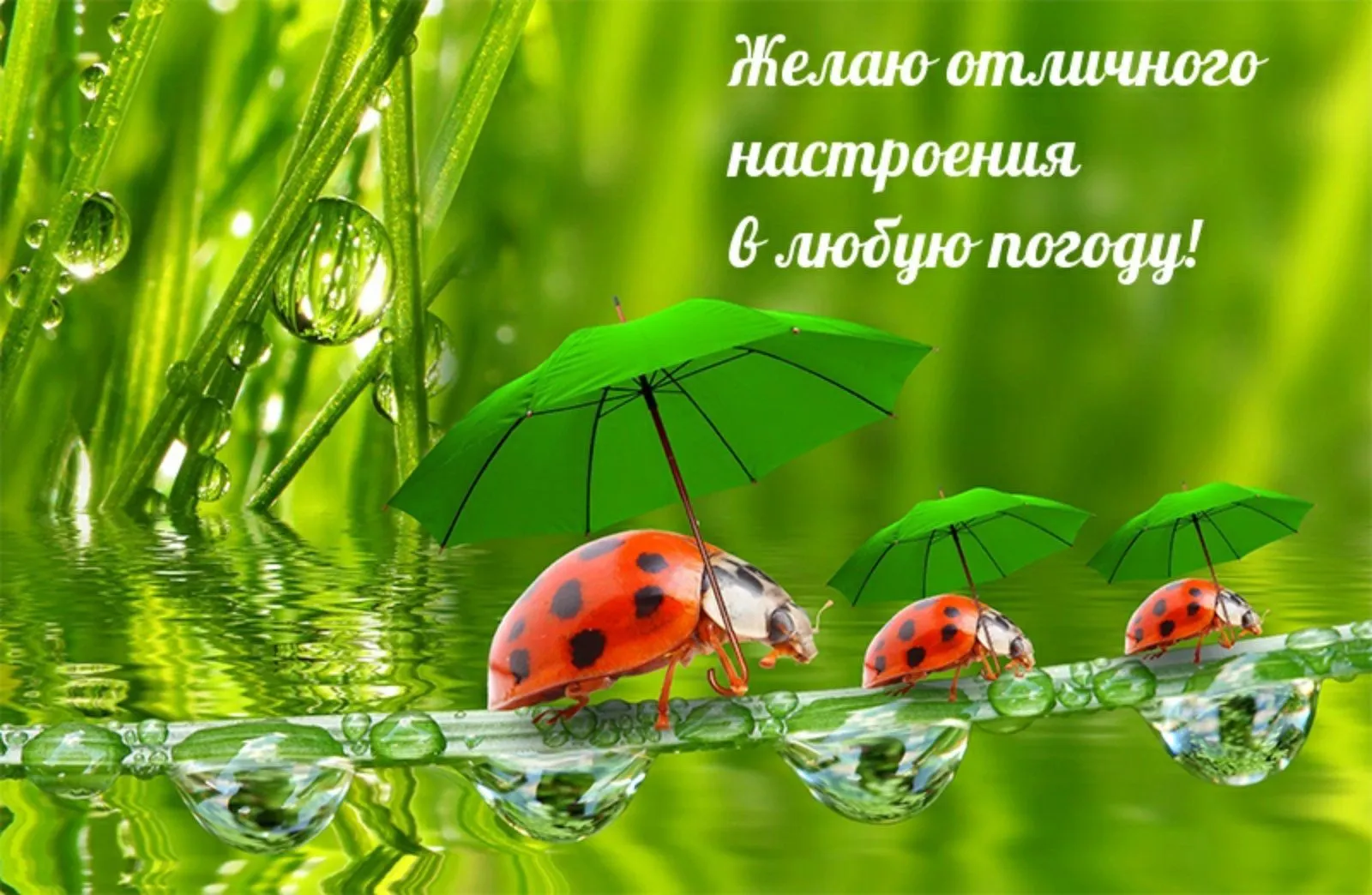 IMG-8a688916d5d1c75e358b7143f07672f6-V.webp