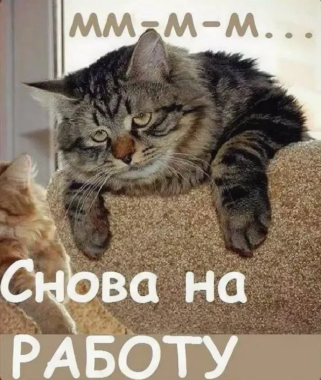 IMG-8a70bf1925d505cce87ed366b896457e-V.webp