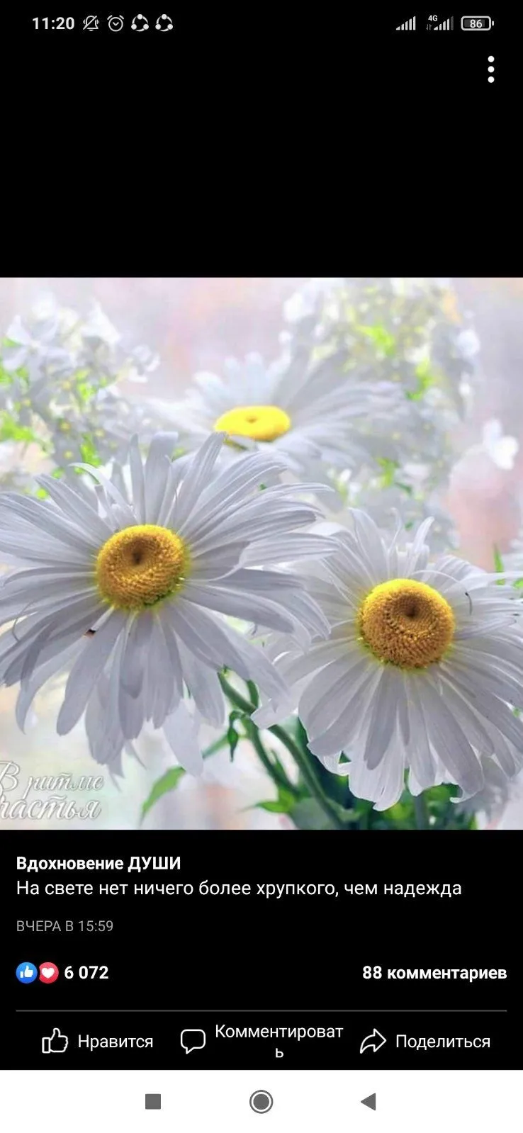 IMG-8ac0bc398fc44e75923d9d5a6a7d4168-V.webp