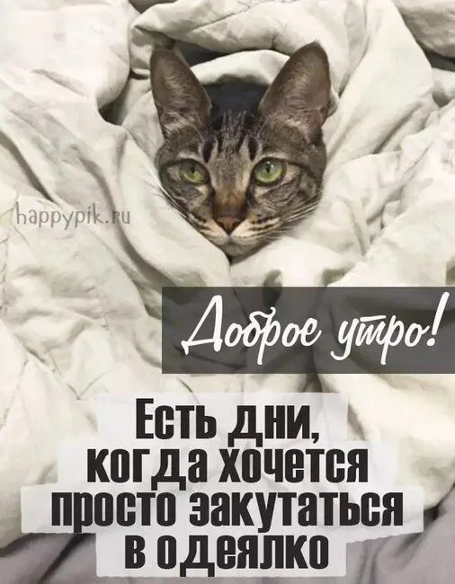 IMG-8ac232029b6eaaad940a51994ab1498c-V.webp