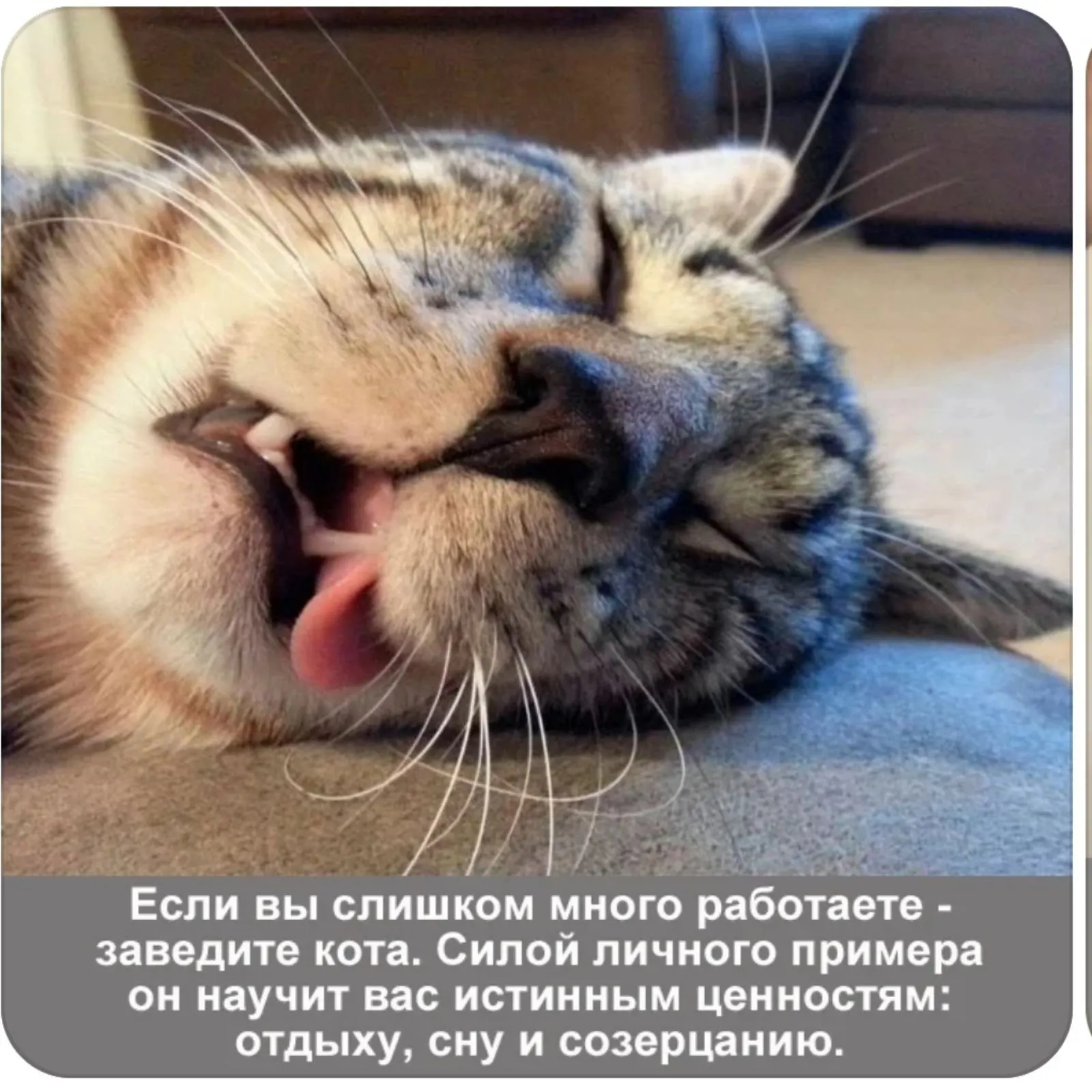 IMG-8acbd97b238f122b8d241f44f9d5f702-V.webp