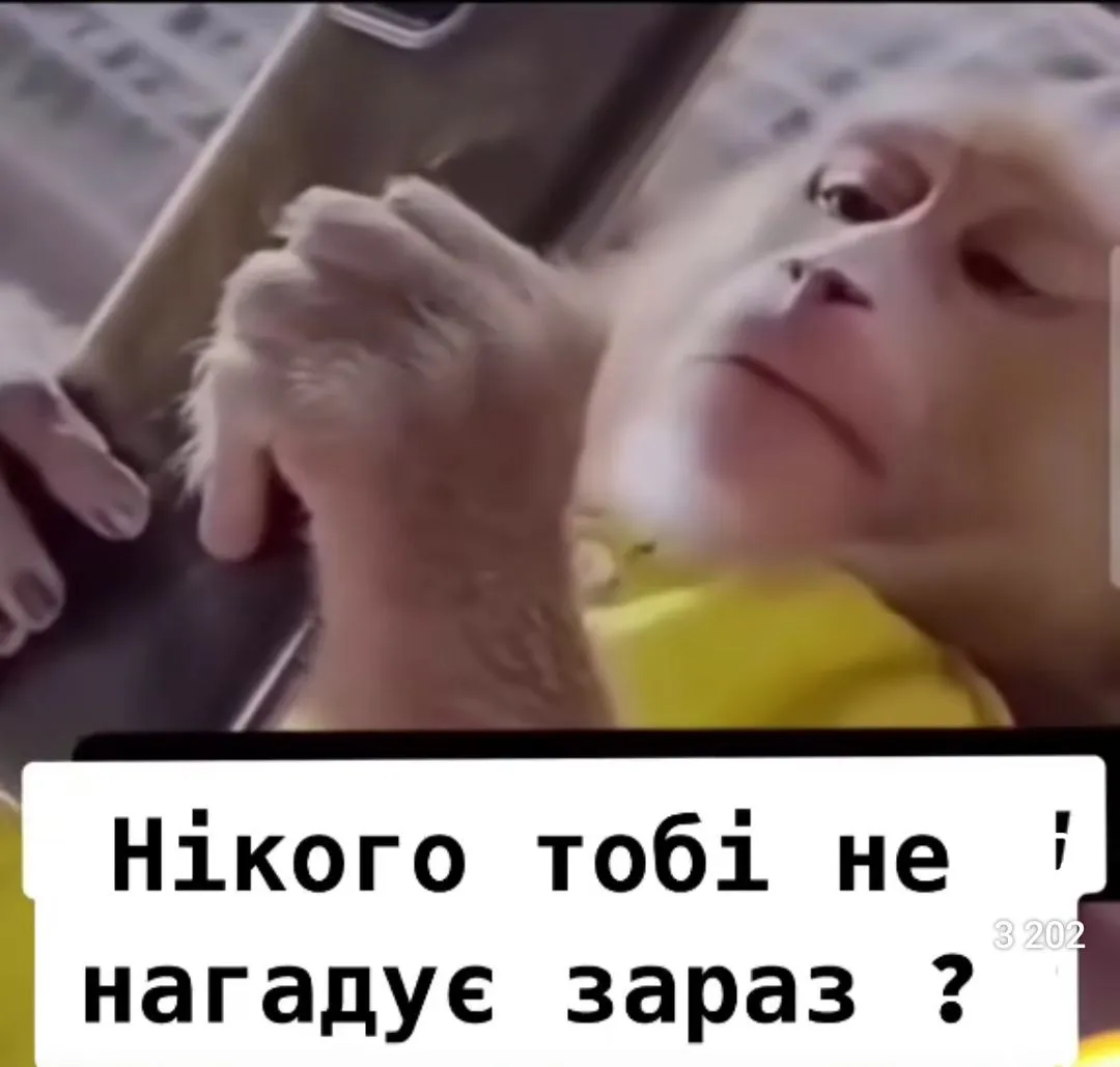 IMG-8af75e647e3d2c0473ee05efae61ecf6-V.webp