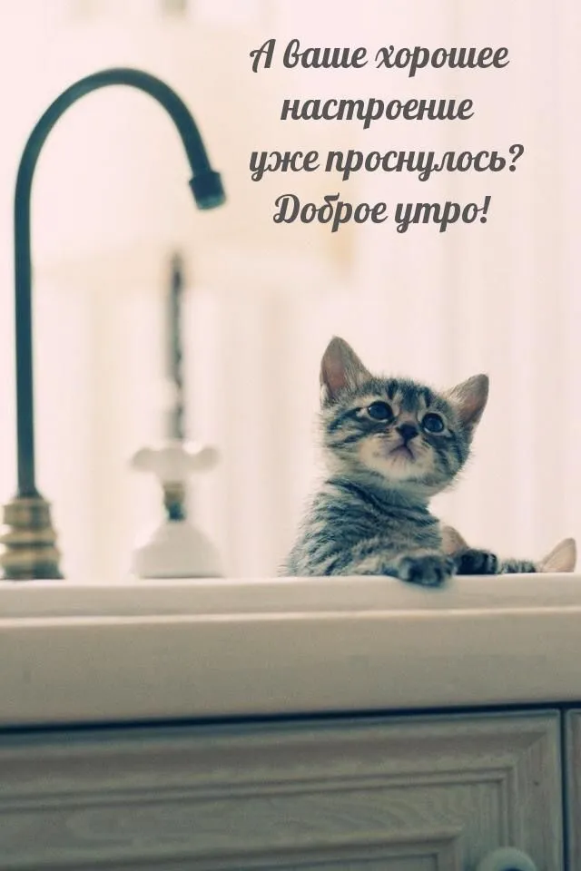 IMG-8b45fb712b3625dcbd16da4a81bf0e82-V.webp