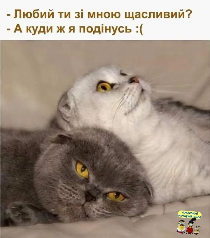 IMG-8b73a29170cbb89b2f44b797d84e590f-V.webp