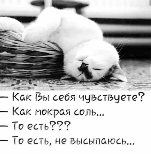 IMG-8c6cff669e4ab24d008106591207ddfa-V.webp