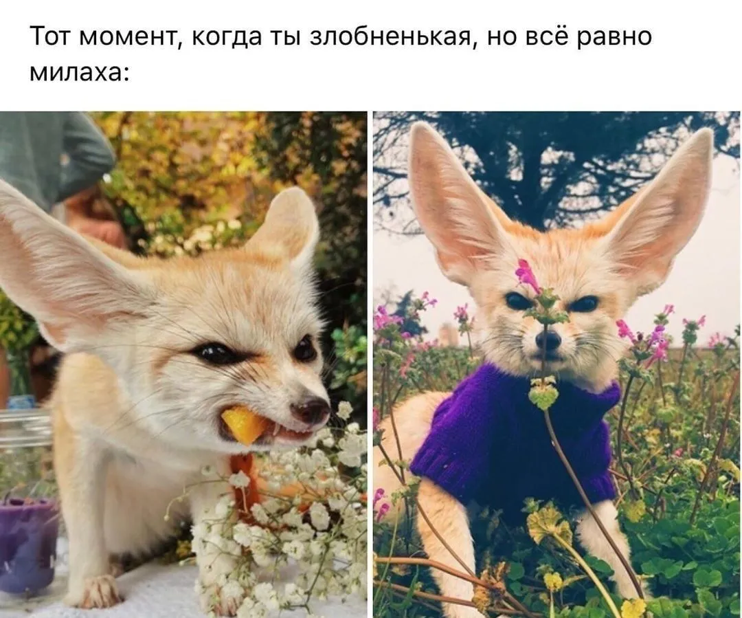 IMG-8ce4130eaf631f0d42160da0e41d3a1b-V.webp