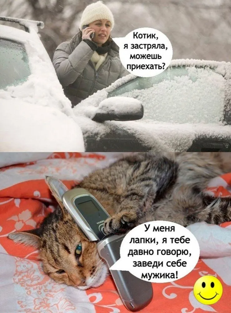 IMG-8dfa941a19d9f9d36848bfe5d9fe7fdf-V.webp