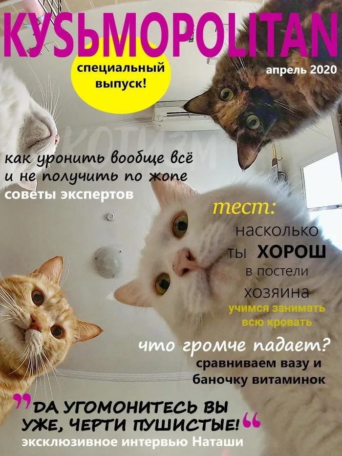IMG-8e74f09059d4b346786fb0ddcf192315-V.jpg