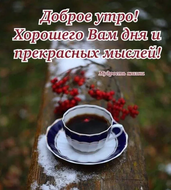 IMG-8ea2503e1dc5a5f3aed91531efd00398-V.webp
