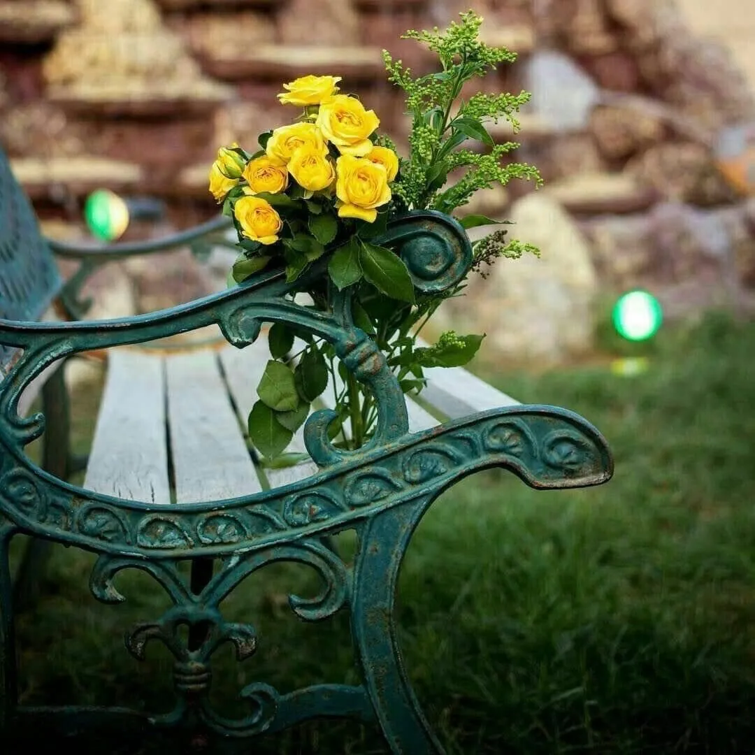 IMG-901ea6286603135c1823ec0a3c30257b-V.webp